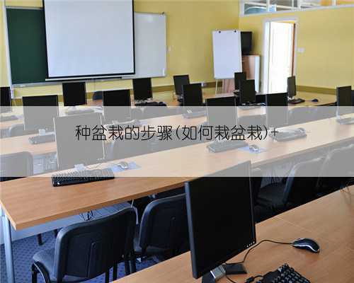种盆栽的步骤(如何栽盆栽)