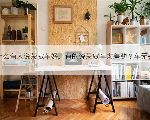 为什么有人说荣威车好，有的说荣威车太差劲？车无完车