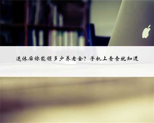 退休后你能领多少养老金?手机上查查就知道