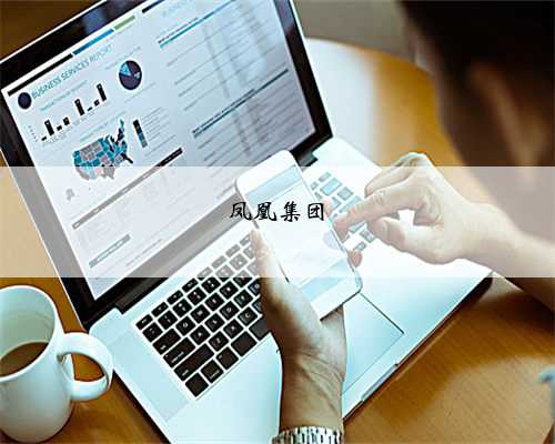 凤凰集团