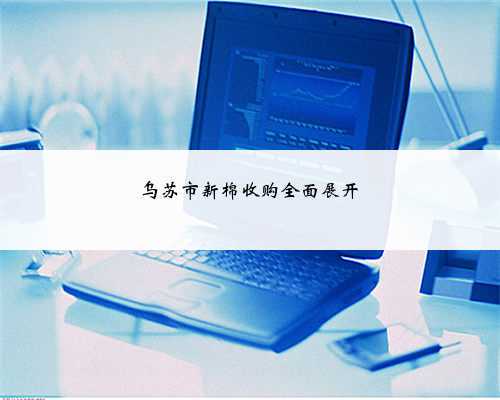乌苏市新棉收购全面展开
