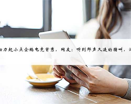 <b>PDD助力起小点企鹅电竞首秀,网友:听到那声久违的猪叫,泪奔了</b>