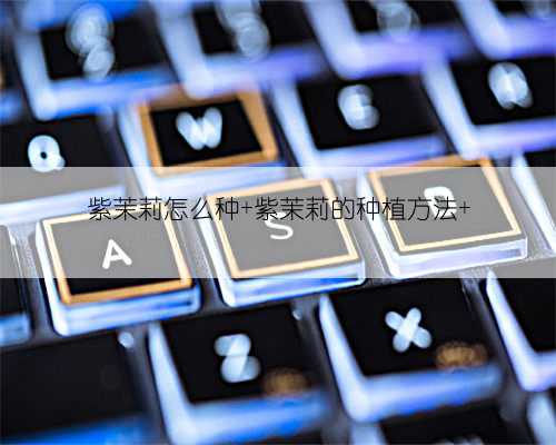 紫茉莉怎么种 紫茉莉的种植方法