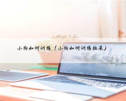 小狗如何训练（小狗如何训练拉屎）