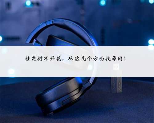 桂花树不开花,从这几个方面找原因!