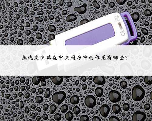 蒸汽发生器在中央厨房中的作用有哪些?