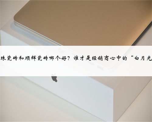 冠珠瓷砖和顺辉瓷砖哪个好？谁才是经销商心中的“白月光”
