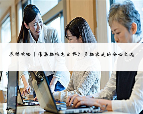 <b>养猫攻略｜伟嘉猫粮怎么样？多猫家庭的安心之选</b>