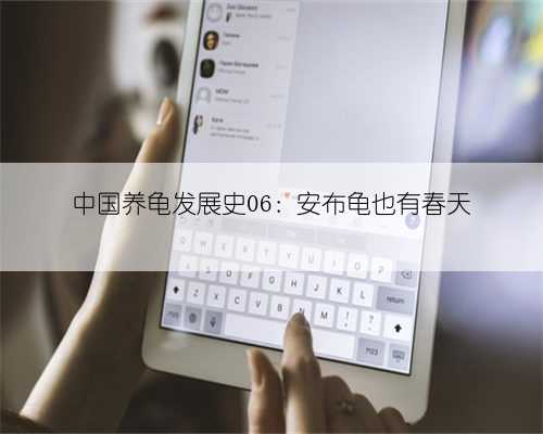 中国养龟发展史06：安布龟也有春天