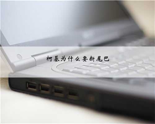 柯基为什么要断尾巴