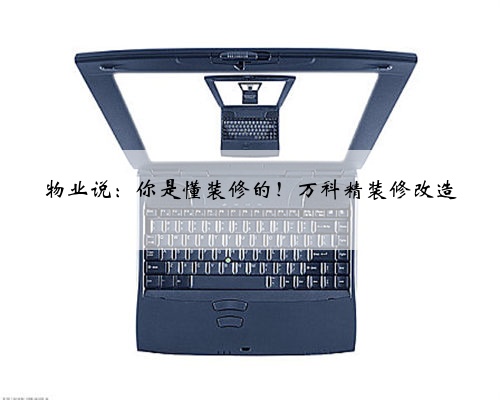 物业说：你是懂装修的！万科精装修改造
