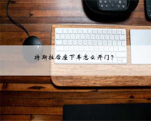 特斯拉后座下车怎么开门?