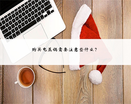 购买电蒸锅需要注意些什么?