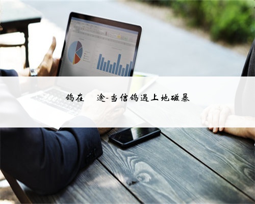 鸽在囧途-当信鸽遇上地磁暴