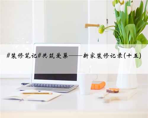 #装修笔记#共筑爱巢——新家装修记录(十五)
