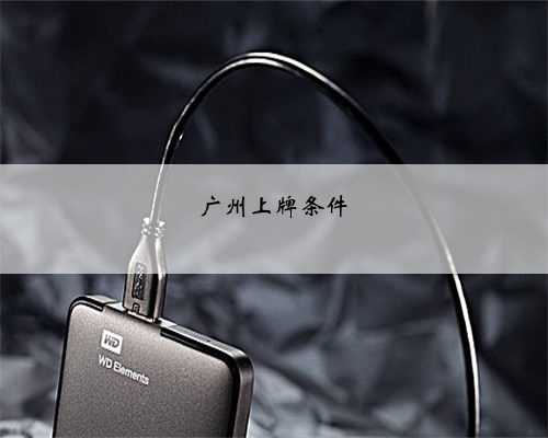 广州上牌条件