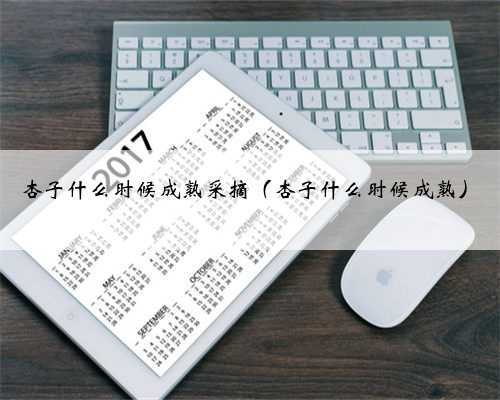 杏子什么时候成熟采摘(杏子什么时候成熟)