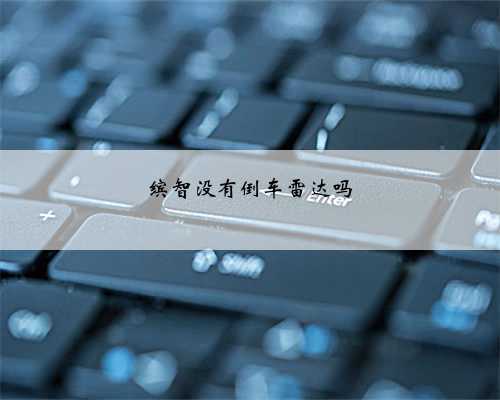 缤智没有倒车雷达吗