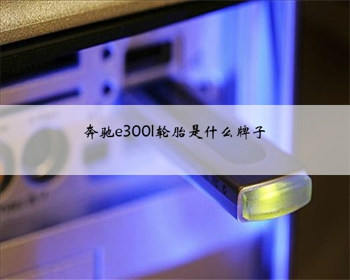 奔驰e300l轮胎是什么牌子