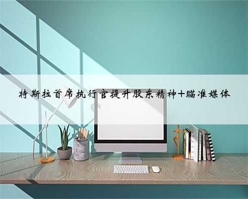 特斯拉首席执行官提升股东精神 瞄准媒体