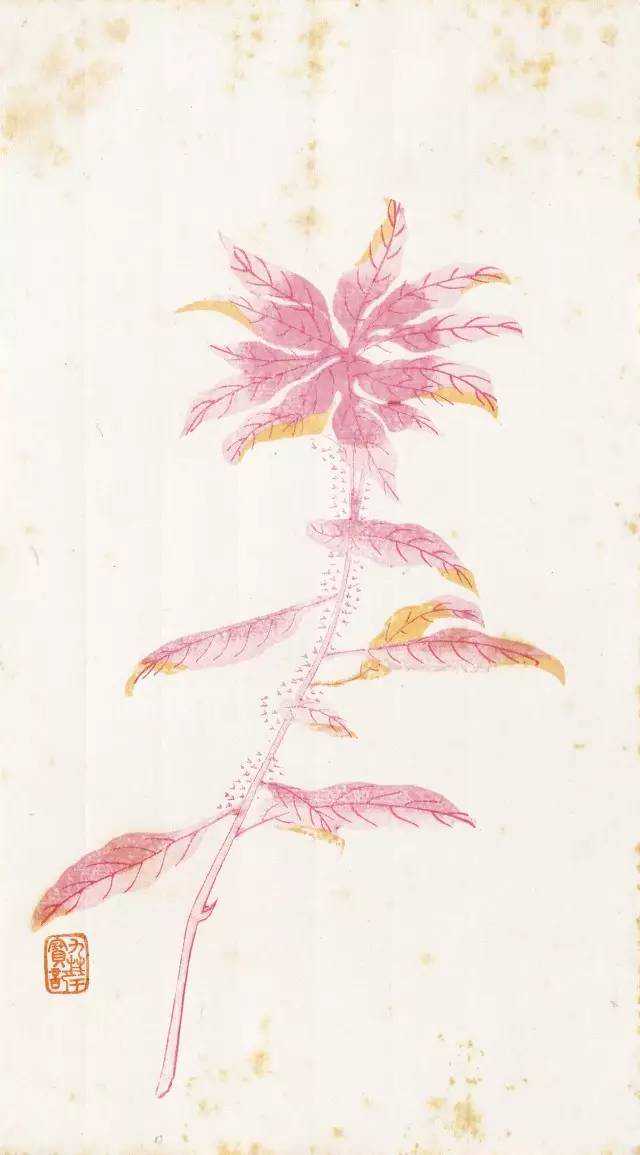 品箋——画箋、诗箋