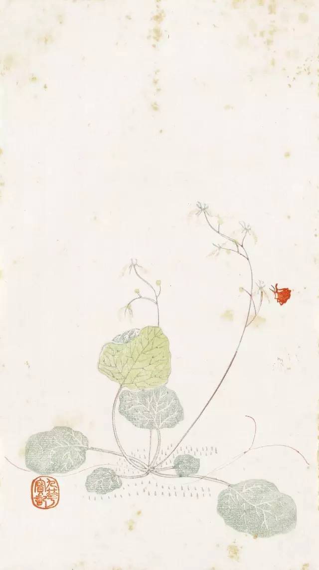 品箋——画箋、诗箋