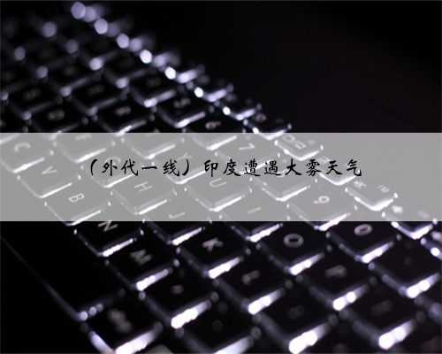 (外代一线)印度遭遇大雾天气