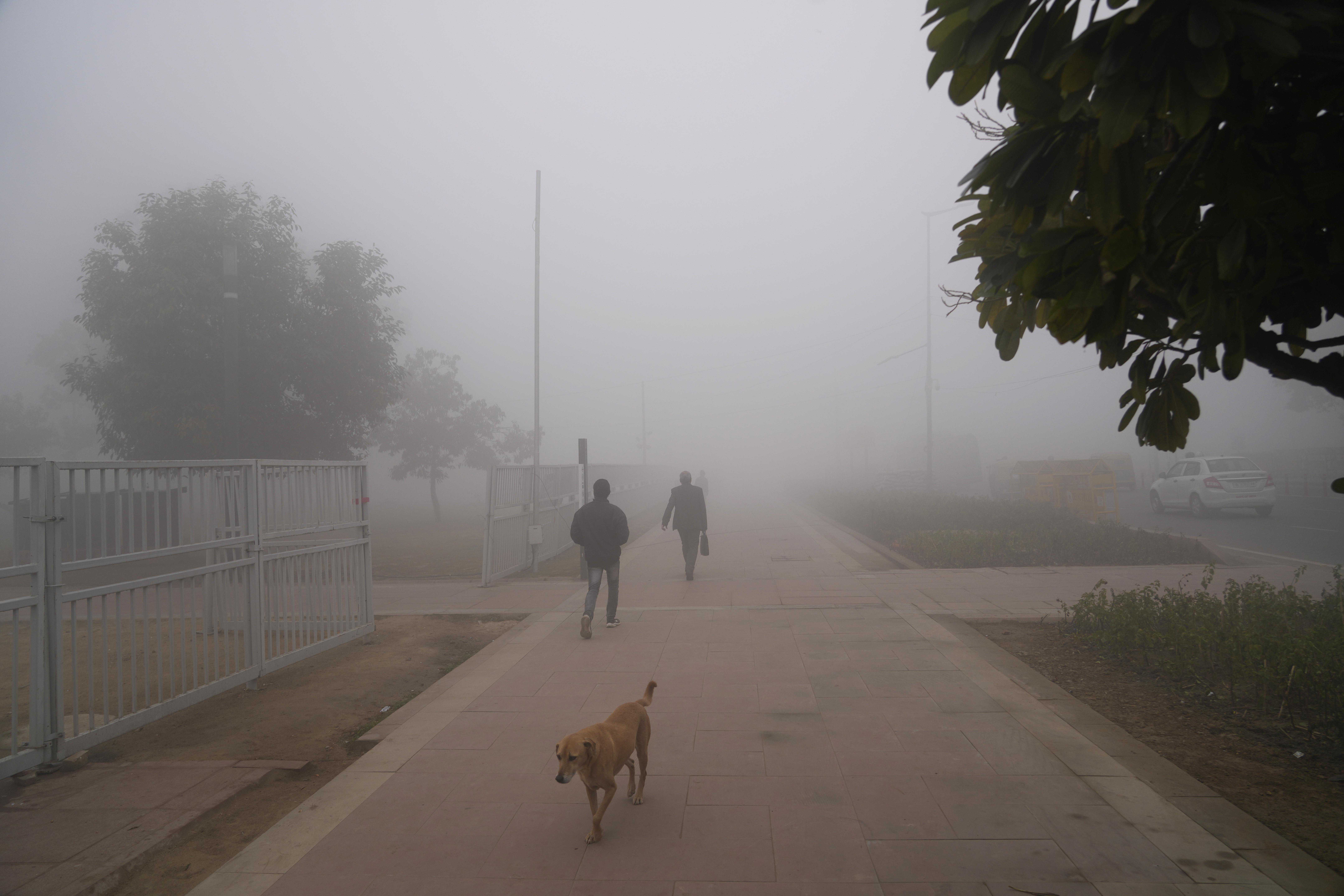 (外代一线)印度遭遇大雾天气