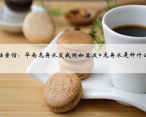 天气档案馆：华南龙舟水发威雨如盆泼 龙舟水是种什么水？