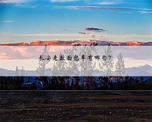 长安老款面包车有哪些?