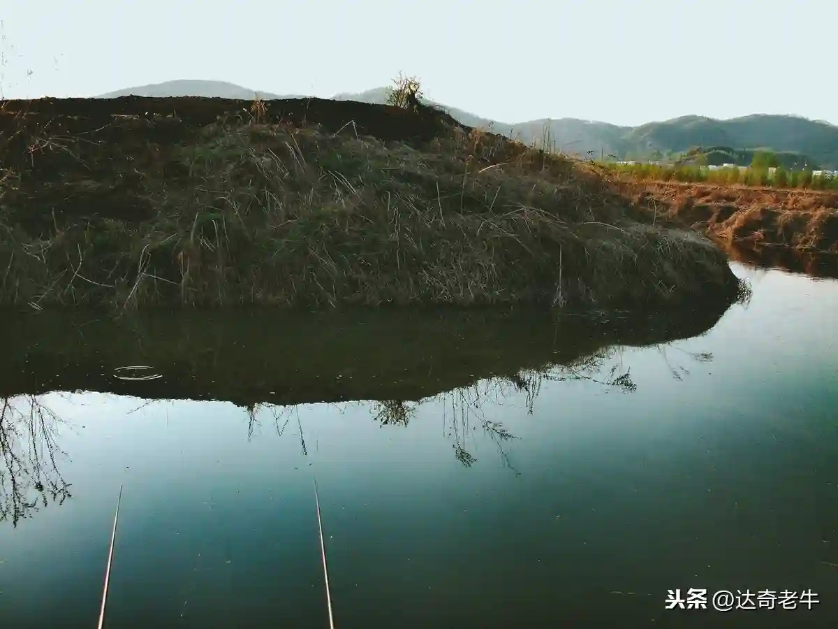 “鱼道”真实存在吗？难怪有人爆护有人空，原来这里有玄机