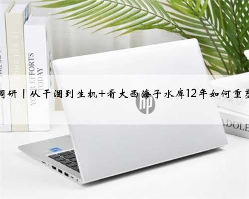 一线调研丨从干涸到生机 看大西海子水库12年如何重塑生态