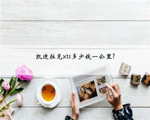 凯迪拉克xts多少钱一公里?
