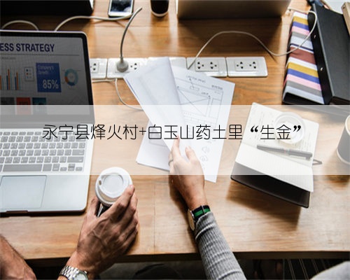 永宁县烽火村 白玉山药土里“生金”