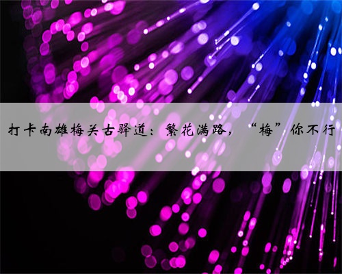 打卡南雄梅关古驿道：繁花满路，“梅”你不行