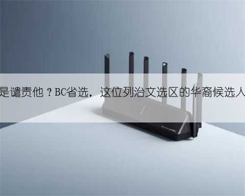 同情他还是谴责他?BC省选,这位列治文选区的华裔候选人惨遭网暴