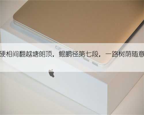 软硬相间翻越塘朗顶，鲲鹏径第七段，一路树荫随意歇