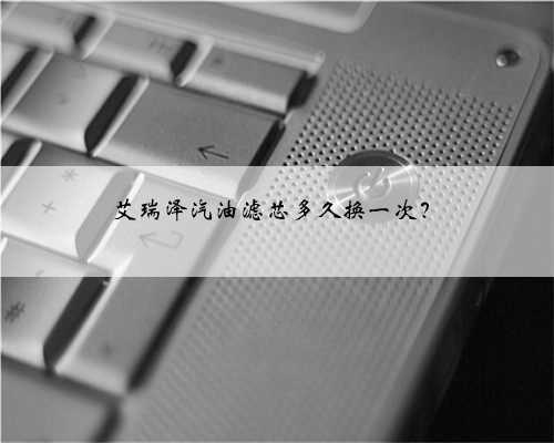 艾瑞泽汽油滤芯多久换一次?