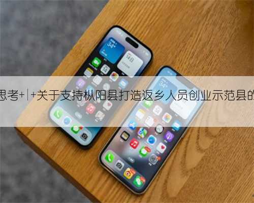 调研思考 | 关于支持枞阳县打造返乡人员创业示范县的研究